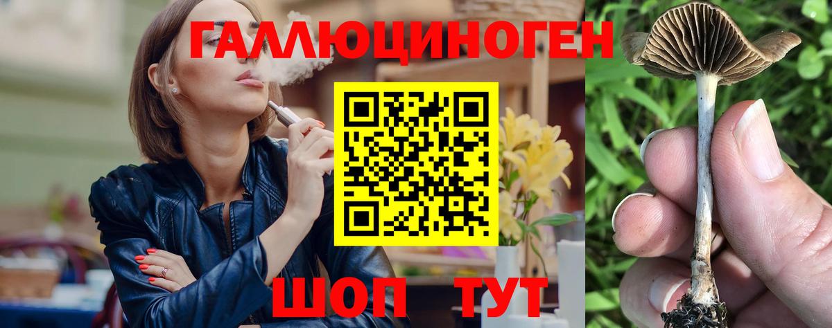 Новоалександровск  Псилоцибиновые грибы мицелий  Вход с VPN 